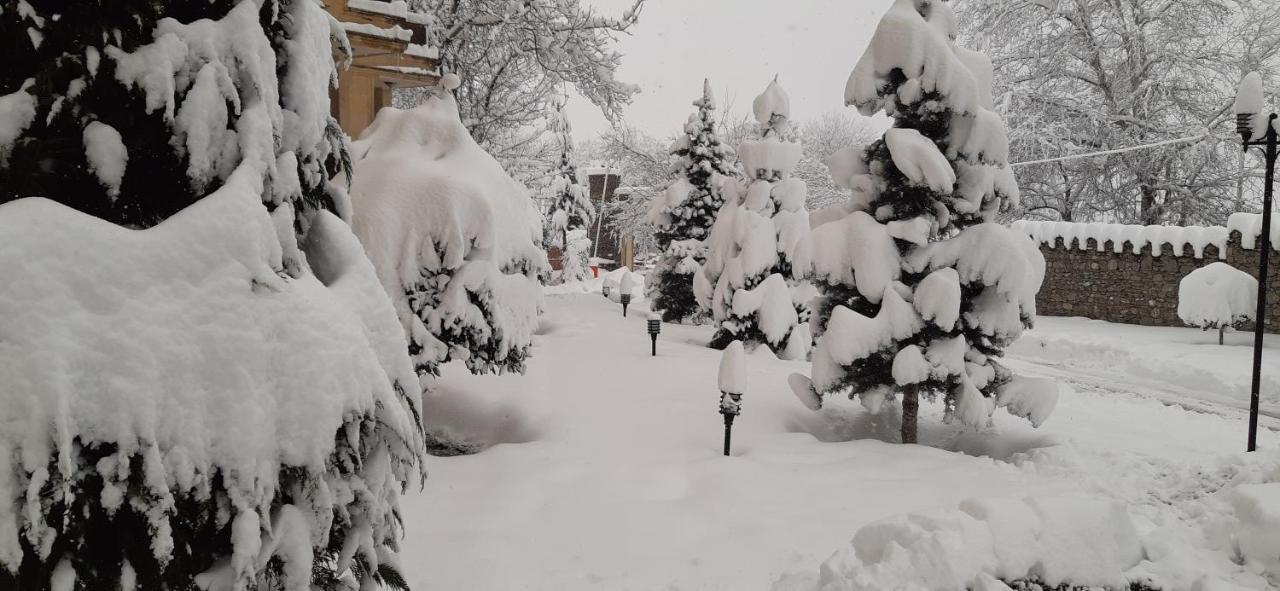 Gabala Yeddi Gozel Hotel Exterior foto